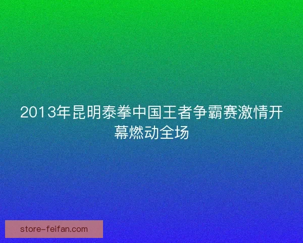 2013年昆明泰拳中国王者争霸赛激情开幕燃动全场