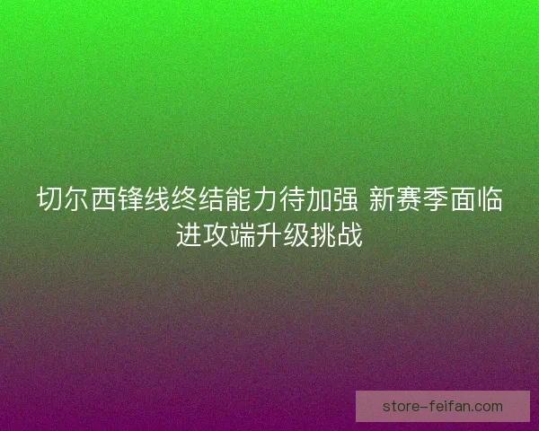 切尔西锋线终结能力待加强 新赛季面临进攻端升级挑战